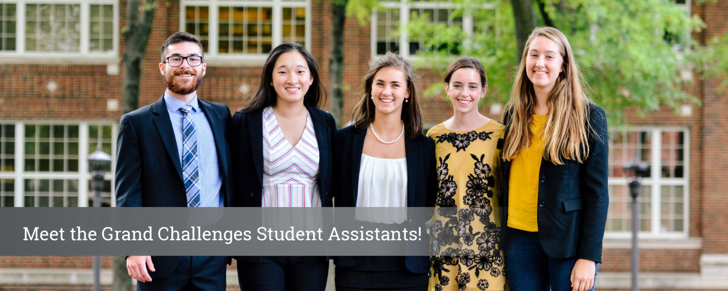 Student Assistant Team